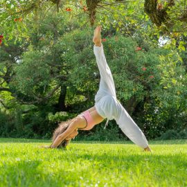 Biofficina Experience